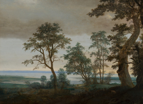 mauritshuis-museum: River Landscape, seen through the Trees, Cornelis Vroom, 1638, Mauritshuis Museu