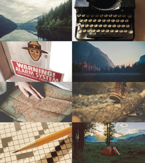 ghostlymark - video game aesthetic [ 1/? ]firewatch