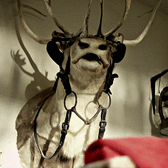 decayingsun:    Christmas Countdown: Day 20 The Killers - I Feel It In My Bones 