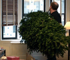 fireflies-and-moonbeam-pies:  How to clean up Christmas Louis CK style.