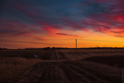 thisherelight:first really great October sunset since I got back. almost makes the nights of sitting praying the sun will pop out under the bottom of the clouds for almost a week–it didn’t–worth it. almost. 