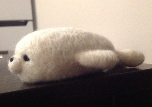 XXX needle felted baby seal! photo