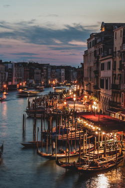 Venice. Letters to the Baumgartners  ***Follow