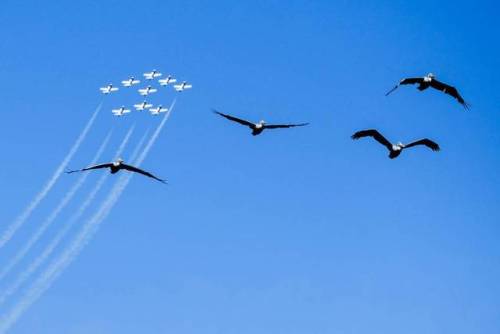 San Francisco, CA&hellip; during the Blue Angels Event off Fisherman&rsquo;s Wharf. #blueang