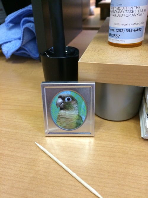 sugarbepo:Inspired by @toadschooled