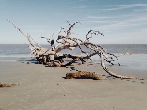 danielodowd:  http://ameliapound.vsco.co/