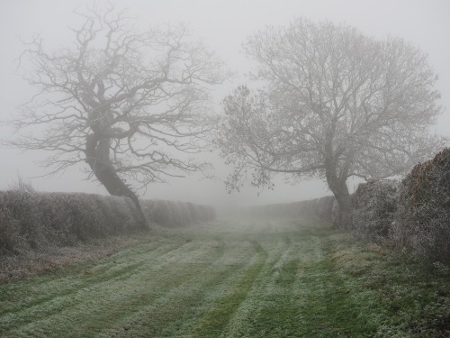 Peddars Way and Houghton, NorfolkDecember 2020