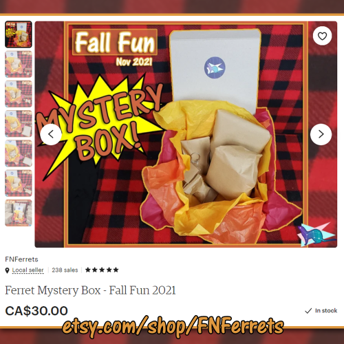 MY NEW FERRET MYSTERY BOXES ARE OUT!This month’s theme is: “Fall Fun 2021″The theme is a redo of my 