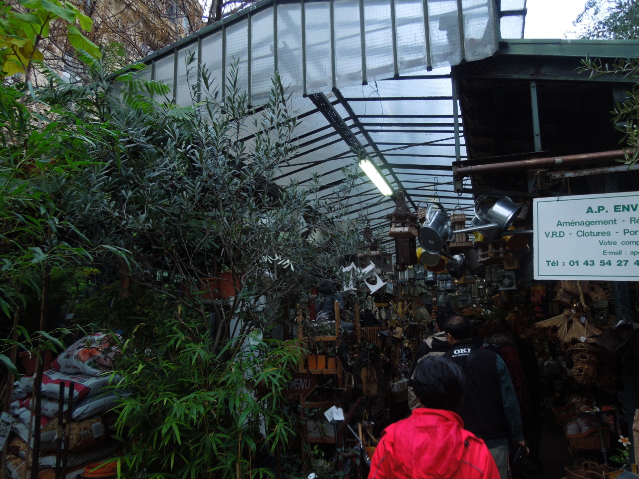ehsth:  I visited this tiny plant store when I was in Paris. It was so full of plants