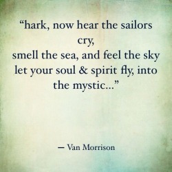 madlyproudly:Van Morrison