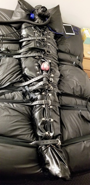 alphamajor47:Because @rbr524 was so good and stayed locked all #iml2018.  We decided to let him have one more chance to get off.
