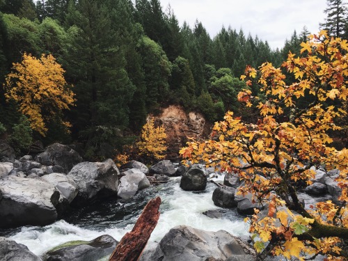 iwokeupthisway:  Prospect, Oregon. 