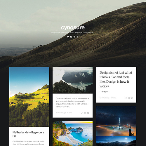 themes: Cynosure A responsive grid theme with an awesome fading background image. Huge header/backgr