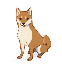 k-e-i-t: shifty shiba