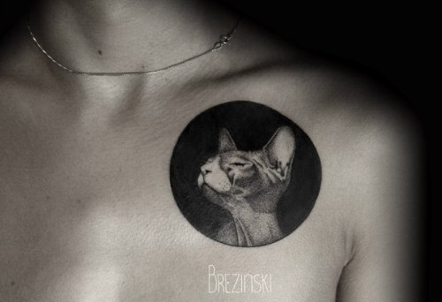 origamirabbit: CAT TATTOO compilation &lt;black and white&gt;