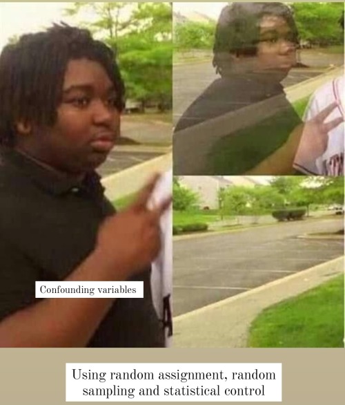I Made Memes As A Way To Study For My Research Methods Final 