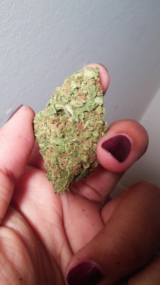 old-mother-sativa:  My dream is to have a massive smoke sesh with everyone on tumblr💕💕