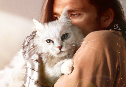 hopelessartgeek: Alpine and Bucky cause sometimes shoving your face into a cat is the best therapy