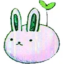 windybun