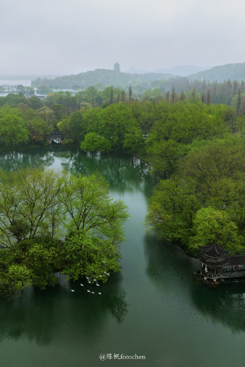 fuckyeahchinesegarden: March in hangzhou杭州, zhejiang province by 陈帆fotochen