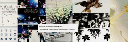  like or reblog if you save/use | icons and headers are ours 