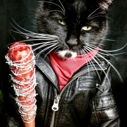 cat-cosplay:   “You can breathe. You can blink. You can cry. Hell, you’re all gonna be doing that.” ~Negan  #TheWalkingDead 