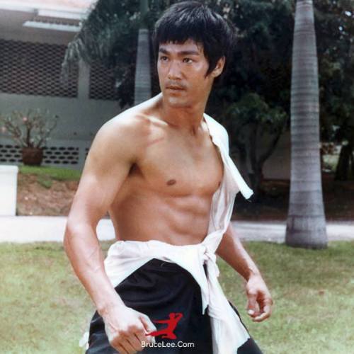 taichikungfu:  Bruce Lee is my idol, forever. porn pictures