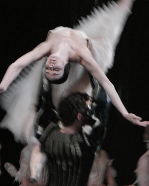 passioneperladanza:
Natalia Osipova and Matthew Ball in Giselle. 
The Royal Ballet 

📷 Rachel Hollings 