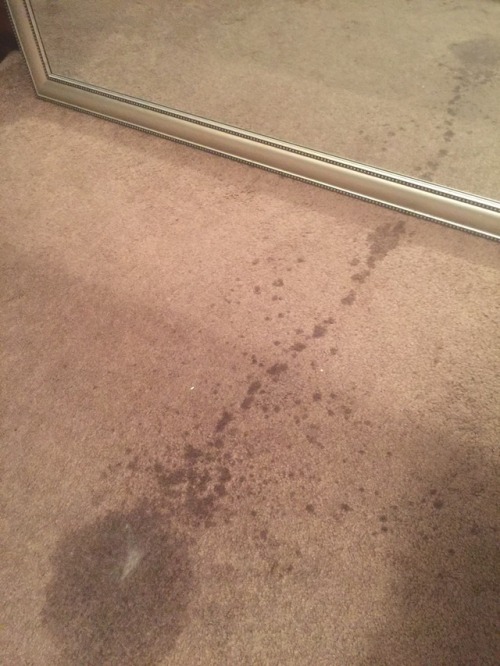 missxcumsalot: I made a mess! A lovely squirty mess.