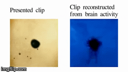 sixpenceee:  5000 people were shown random YouTube videos. Scientists reconstructed
