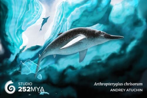 252mya:Arthropterygius chrisorumArtwork by Andrey AtuchinPart of the dolphin-like group of marine re