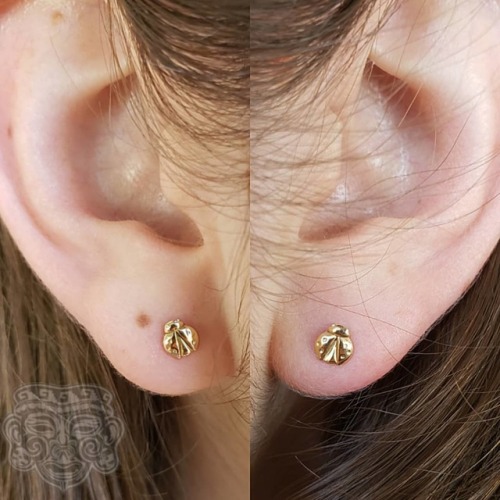 Treatyoself Tuesday. Piercings not done by me but upgraded by me. 14k yellow gold ladybugs from @ler