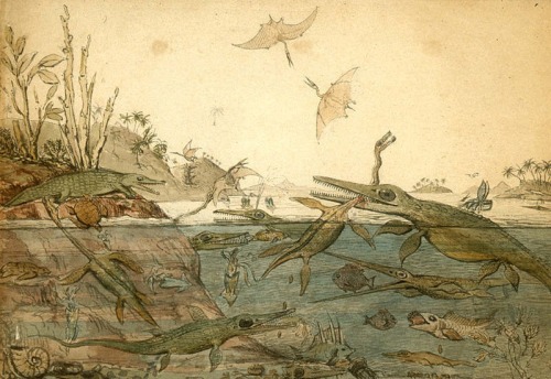 palaios-ontos-logos:  Duria Antiquior, a more ancient Dorset Painting by English geologist, Henry De la Beche, in 1830. This was the first pictorial representation of a scene of prehistoric life based on evidence from fossil reconstructions, a genre now