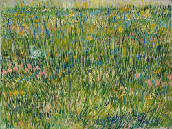   Patch of Grass, Vincent van Gogh 1887 