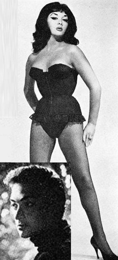 vintagetg:      Vintage Tgirl - fb fan page (here), tumblr (here)  