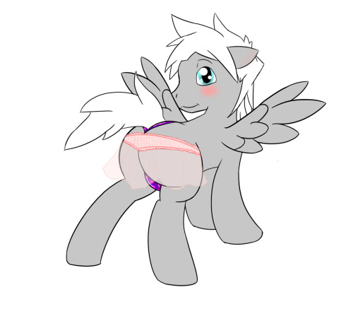 taboopony:  “ well patience… its all for you” shipping FTW!! well alas looks like pony pantie day is over but we conclude it with Zephyr wing showing off what hes got to his date. well I hope you all enjoy this instalment of pony pantie