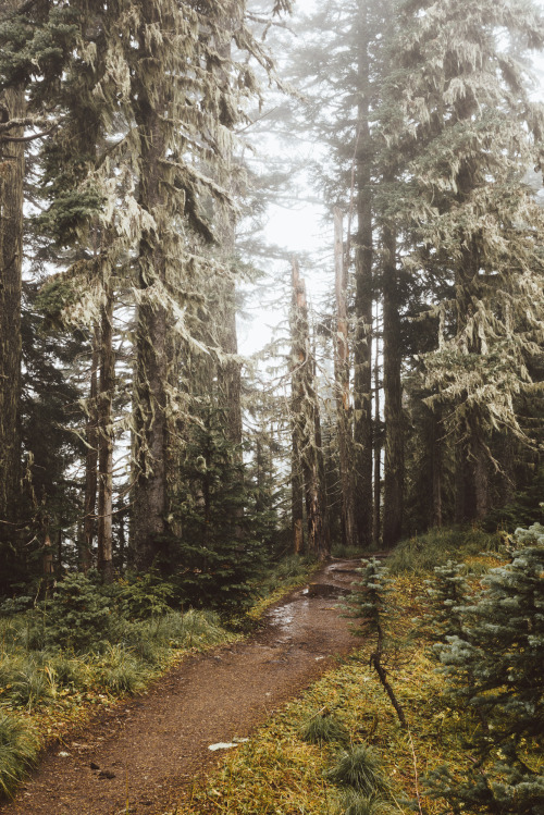 Hiking around Mount Rainier NP, Washington || IG: BToneVibes