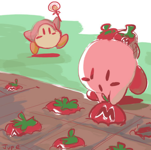 jupebox: I WANT HARVEST MOON x KIRBY WHERE KIRBY GROWS MAXIM TOMATOES AND MAKES FRIENDS WITH EVERYON