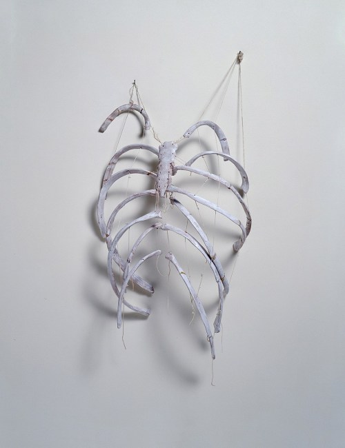 artthatremindsmeofhannibalnbc:
“Kiki Smith, Ribs, 1987
Terracotta, paint and cotton thread
https://en.wikipedia.org/wiki/Kiki_Smith
”