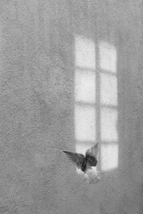 normablackandwhite:Secret Window by  Marcin Ryczek Fotografia