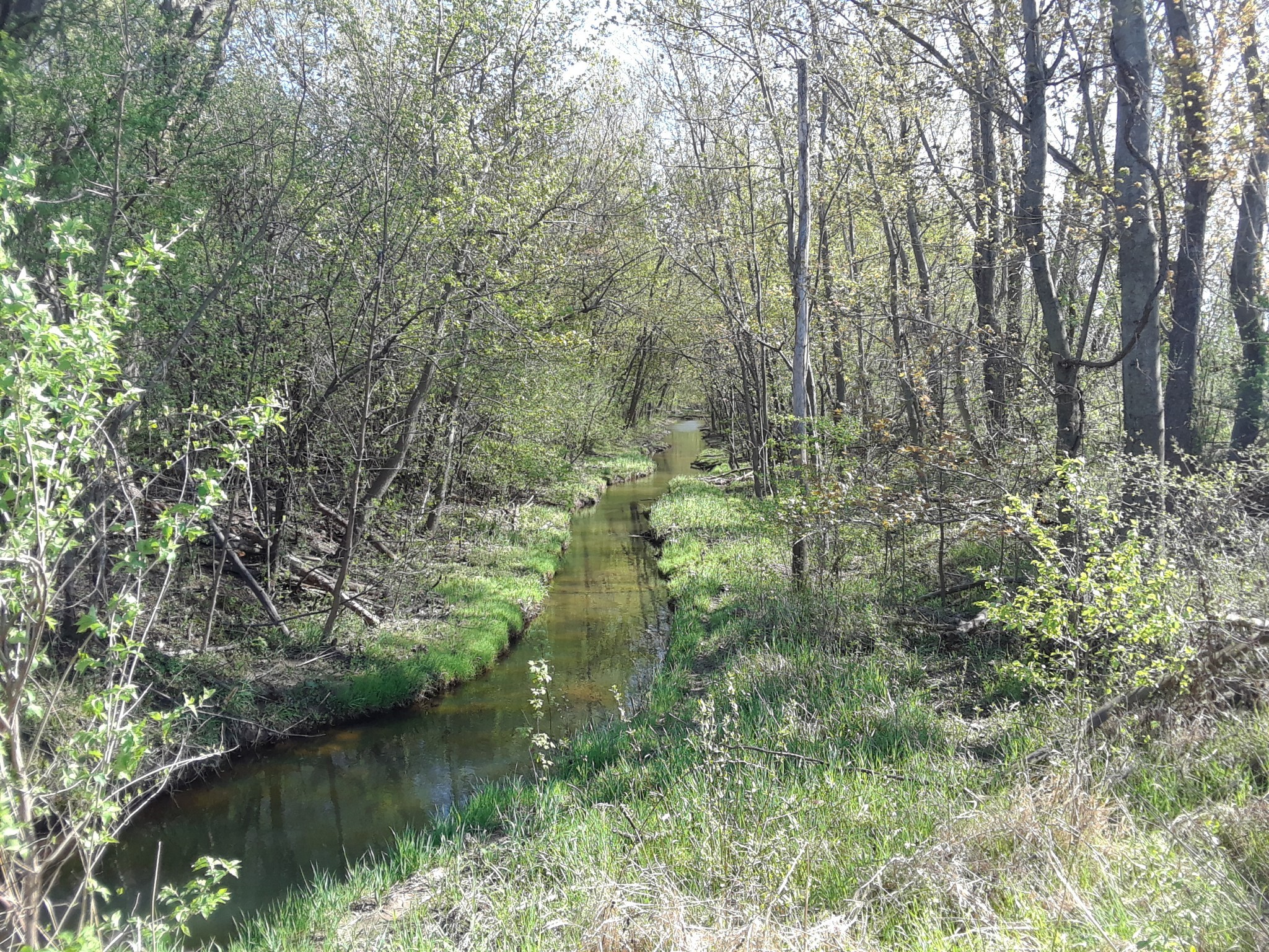 tiredbogwoman:What a beautiful little creek!!! ♡☆