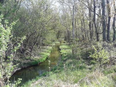 tiredbogwoman:What a beautiful little creek!!! ♡☆