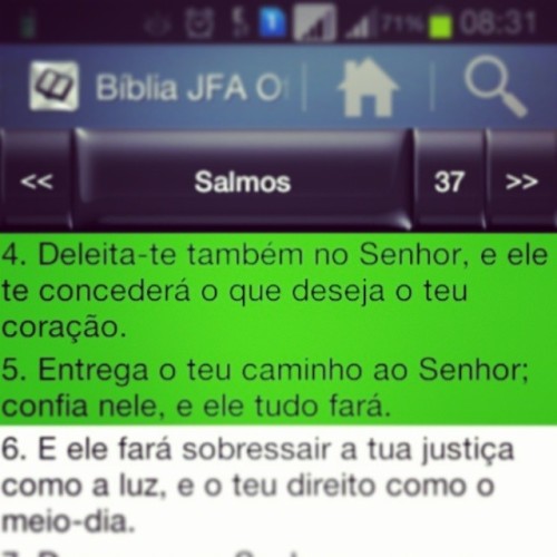 viverpra-ti:   