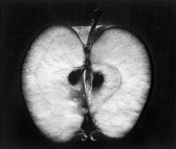 last-picture-show:Wynn Bullock, Half an Apple, 1953