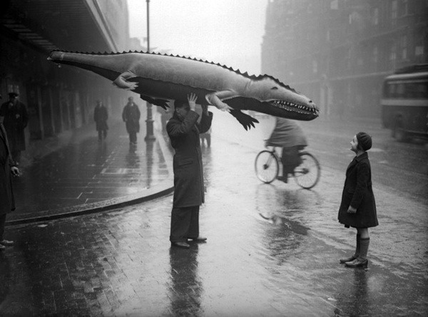 undr:    Unknown Photographer   