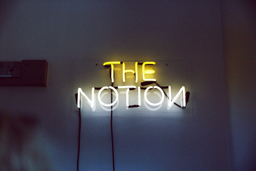 The Notion, neon sign. 