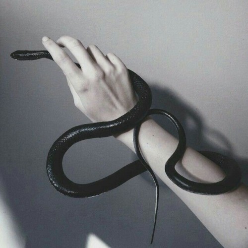 By @nonalimmenphotography