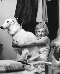 luv50sand60s:  Marilyn Monroe with her furry