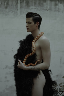 ohthentic:  mysomethingtoremember:  © Marta Bevacqua  Oh