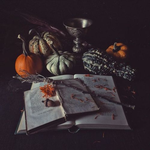 autumncottageattic:whisper_in_the_wood